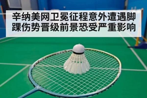 辛纳美网卫冕征程意外遭遇脚踝伤势晋级前景恐受严重影响